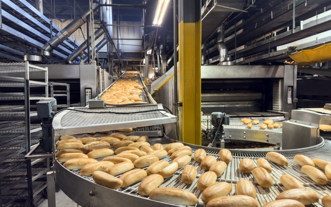 Food Processesing